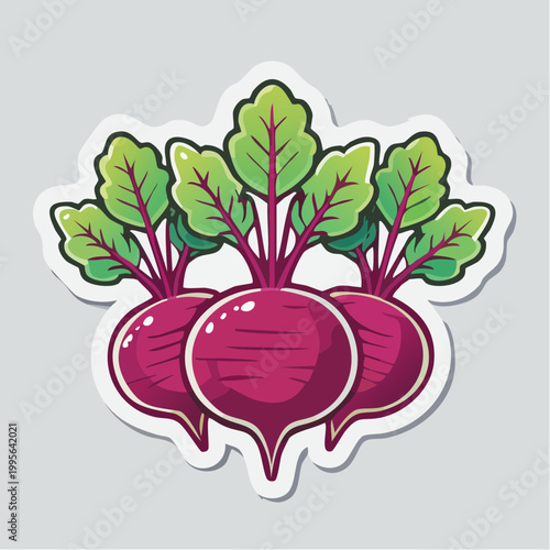 Illustration of three fresh beetroots with green leaves