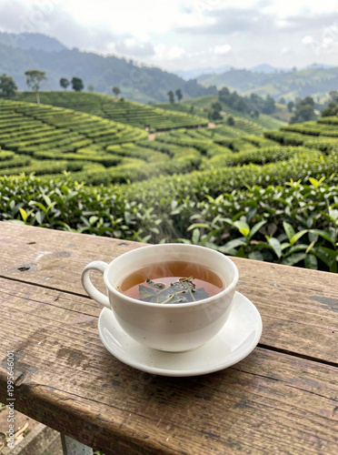 A cup of tea sitting on a wooden table outdoors with the breathtaking view of a lush green hillside filled with rows of tea plants stretching into the distance.