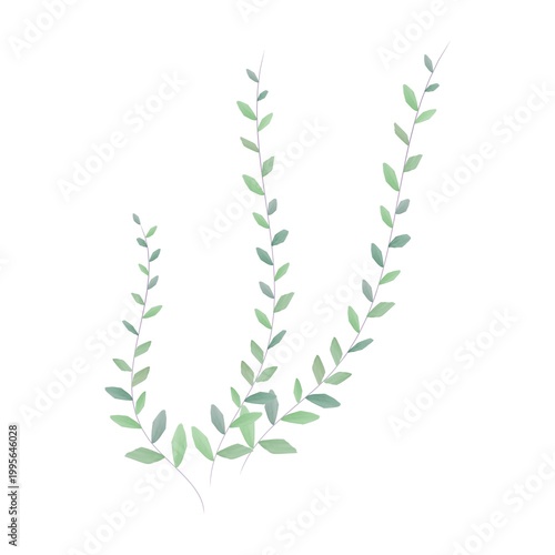 Fényképezés Minimalist illustration of three slender green plant stems with alternating leav