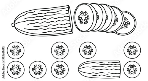 Illustration of a cucumber both whole and sliced into circular pieces