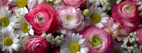 Vibrant floral close-up featuring pink ranunculus and white daisies