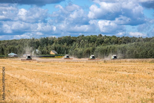 Agricultural industry. A combine harvester picks up golden ears of ripe wheat. The concept of planting and harvesting a bountiful harvest. Agricultural machinery.