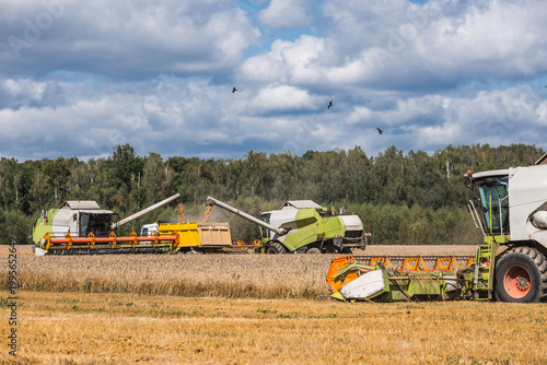 Agricultural industry. A combine harvester picks up golden ears of ripe wheat. The concept of planting and harvesting a bountiful harvest. Agricultural machinery.