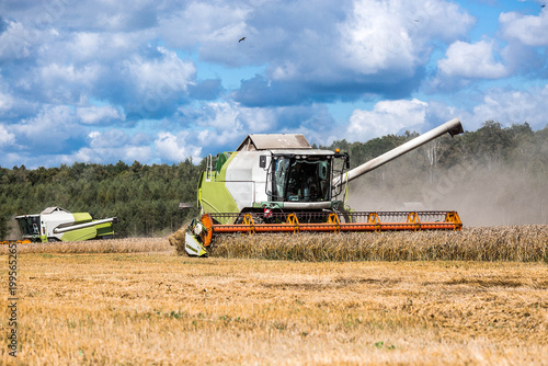 Agricultural industry. A combine harvester picks up golden ears of ripe wheat. The concept of planting and harvesting a bountiful harvest. Agricultural machinery.