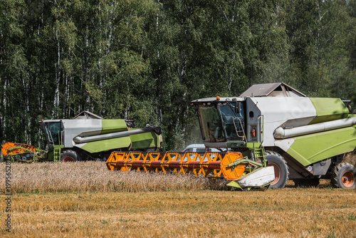 Agricultural industry. A combine harvester picks up golden ears of ripe wheat. The concept of planting and harvesting a bountiful harvest. Agricultural machinery.
