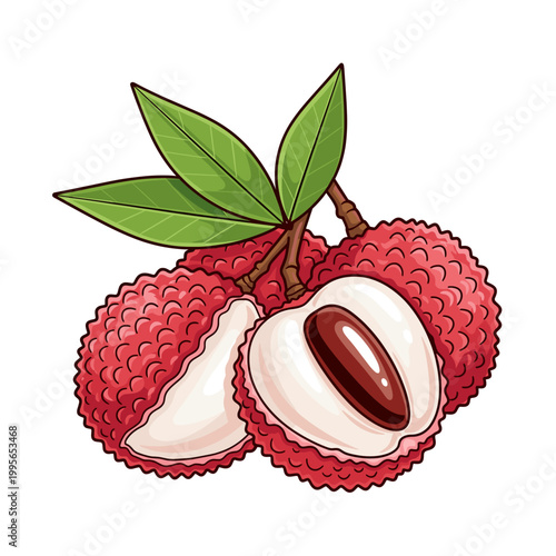 A vibrant illustration of three ripe lychee fruits, one split open to reveal its juicy white flesh and dark seed, with green leaves attached to the stems.