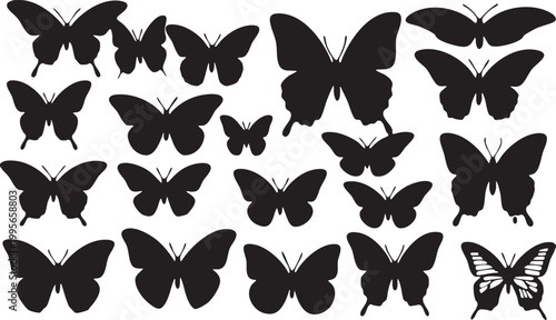 Butterfly Silhouettes on Display: A collection of meticulously crafted butterfly silhouettes, artfully arranged to showcase the intricate beauty of these delicate creatures.