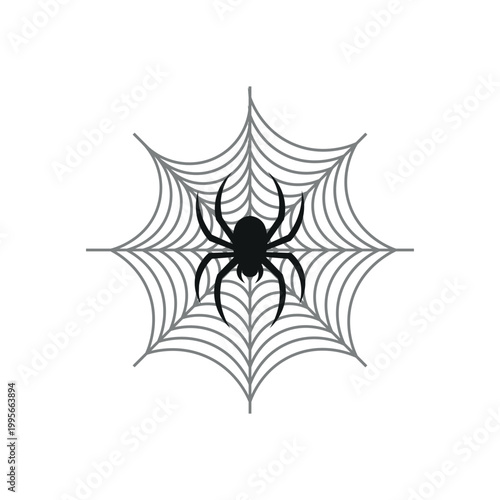 Spider Web Illustration