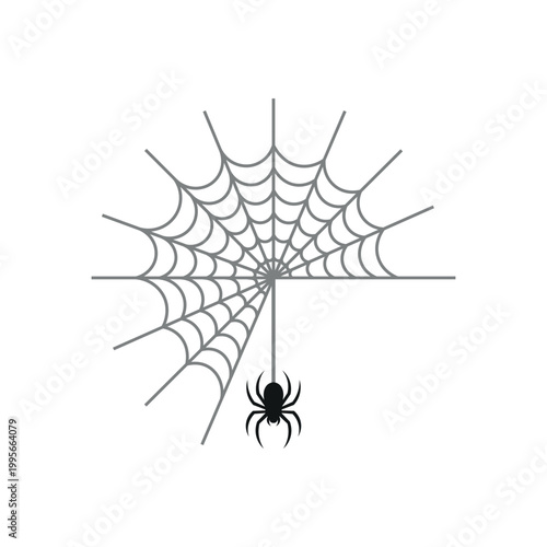 Spider Web Illustration