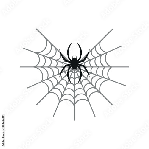 Spider Web Illustration