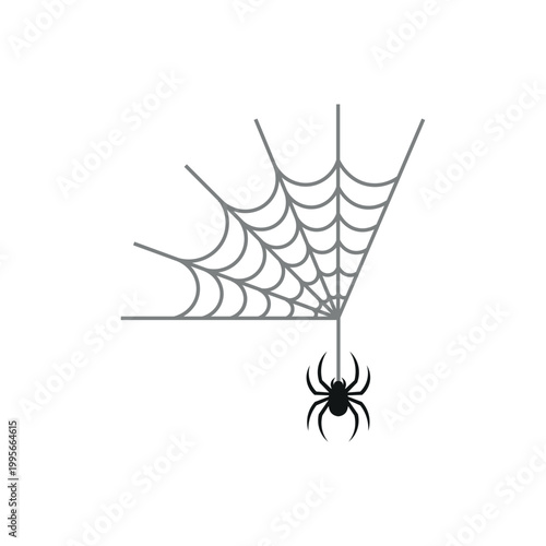 Spider Web Illustration