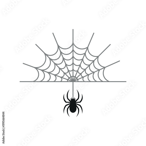 Spider Web Illustration