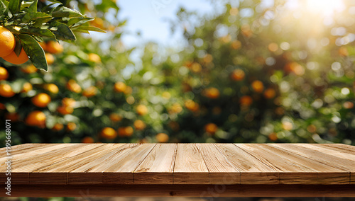 Empty Wooden Table with Blurry Orange Grove Background.