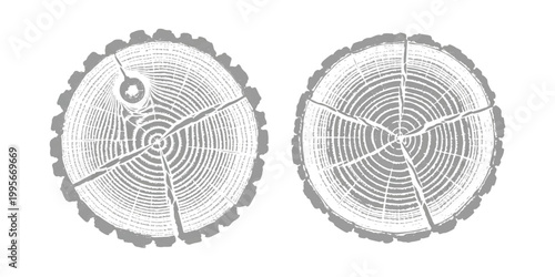 Two detailed tree stump cross section icons showing growth rings and cracks