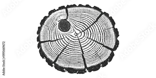 Black and white cross section of a tree log with growth rings and texture