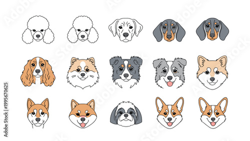 Grid of fifteen different dog headshots illustrates various popular breeds with distinct facial features and coat colors.