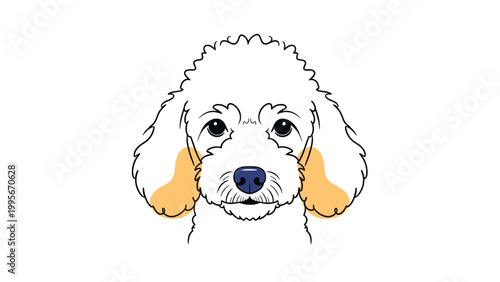 Line art drawing of a white Poodle headshot features simple strokes and soft orange highlights on its long fluffy ears.