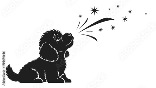 Black silhouette of a small fluffy dog sitting down while looking up at a magical spray of twinkling stars and sparkles.