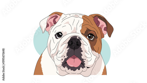 Friendly english bulldog head peering up with its tongue slightly out and a happy expression in a vector portrait for a pet rescue center.