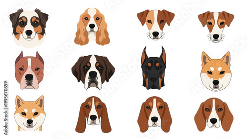 Comprehensive grid of twelve different dog breed heads showcasing a wide variety of shapes sizes and facial features for a veterinary chart.