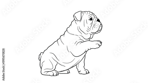 Traditional line art illustration of a stocky english bulldog sitting down and raising its front paw as if asking for a treat.