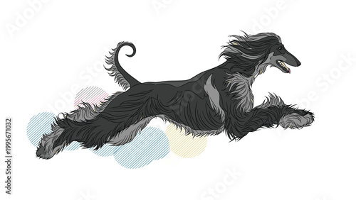Detailed illustration of a majestic black afghan hound running gracefully with its long fur flowing in the wind on white.