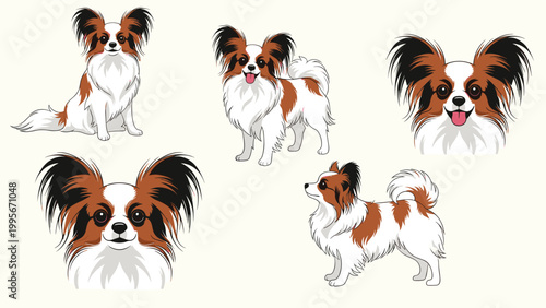 Collection of papillon dog illustrations showing the breed in different views including full body and close up face portraits.