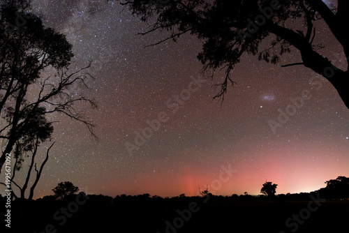 Fotografía Aurora Australis in Australian bush landscape