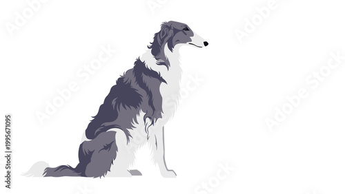Profile view illustration of a grey and white borzoi dog sitting elegantly against a plain white background.