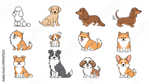 Twelve small dog breed illustrations show various pets in poses like sitting, standing, and wagging tails in a colorful collection.