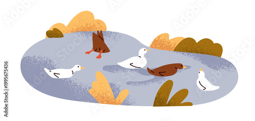 Ducks group swimming, floating on pond water. Cute funny birds, waterfowl, autumn nature landscape. Fowl on lake. Urban fauna, outdoor scenery. Flat vector illustration isolated on white background