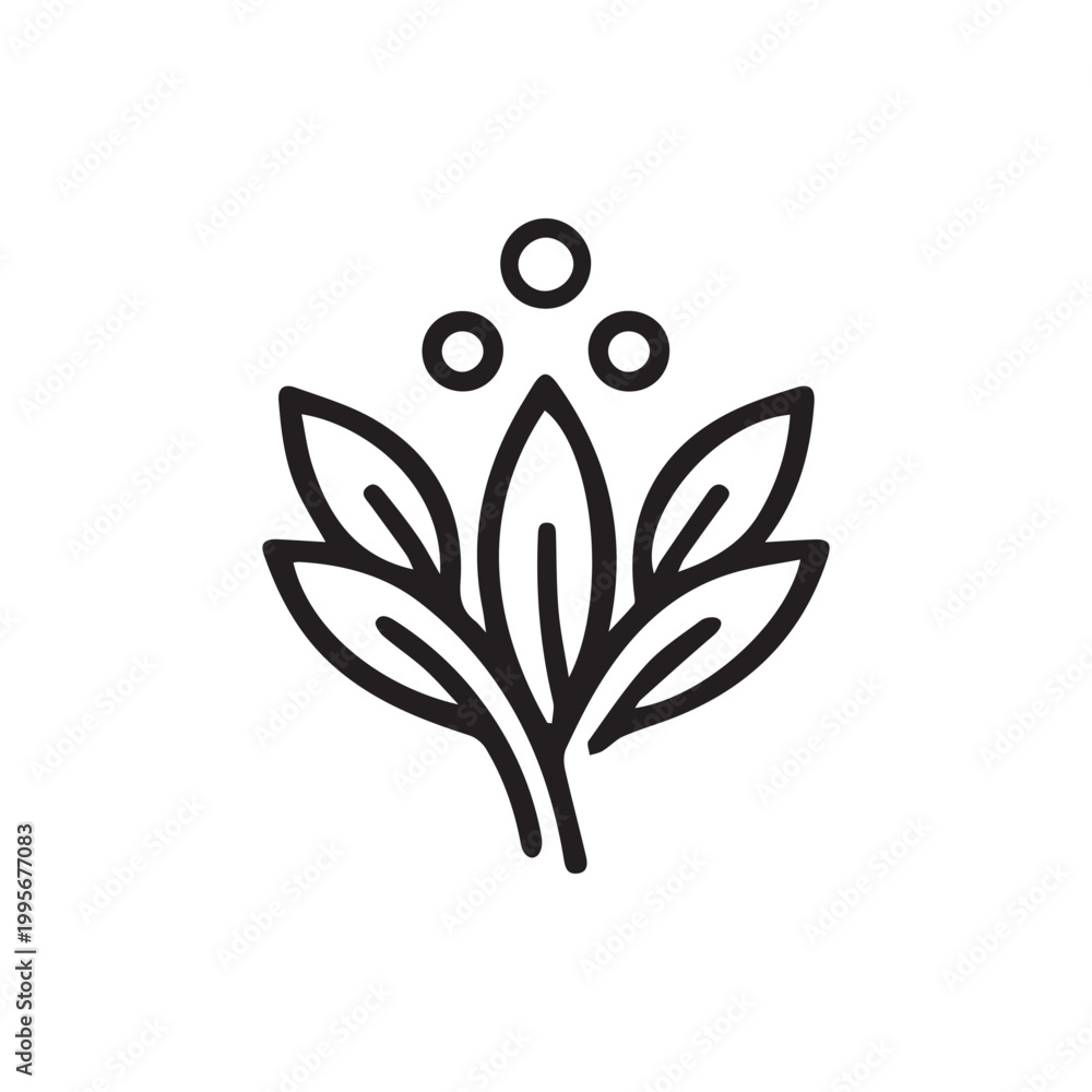 Obraz premium Simple line illustration of a plant with elegant leaves and three circular elements