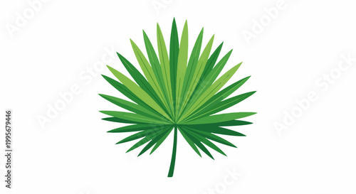 Vibrant green palm leaf, fanning out with sharp pointed segments from a central stem