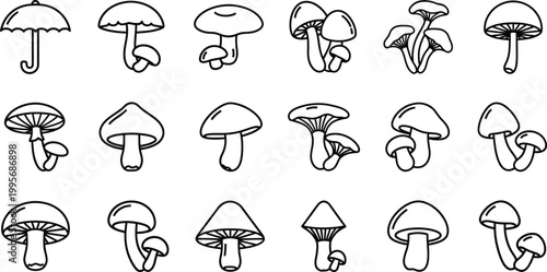 Collection of black and white line featuring various mushrooms and an umbrella fungi outline