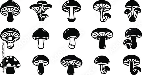 Collection of black and white mushroom with diverse shapes and styles fungi nature