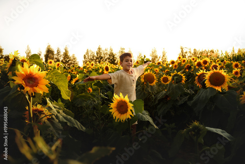Bild auf Leinwand Happy boy with open arms in sunflower field at sunset, child enjoying freedom an