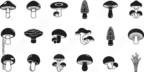 Collection of black and white simple mushroom various shapes and sizes fungi nature