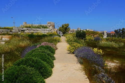 Wild plants near the ruins of the Eetioneia or Ietionia gate of the ancient Piraeus fortifications, of 411 BCE, in Greece