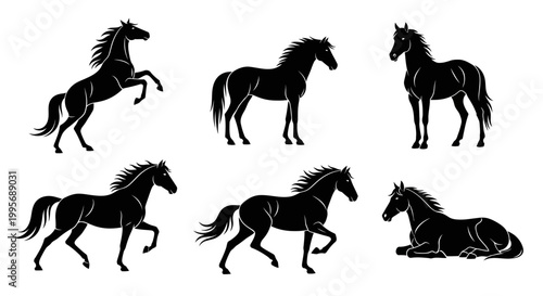 Black Horse Silhouettes Set in Various Poses ? Equestrian Design