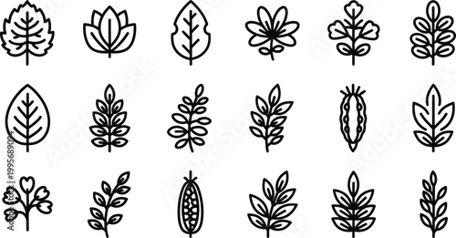 Collection of black outline representing various leaves, plants, and seed pods leaf white