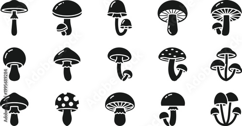 Collection of black mushroom with varied shapes and sizes on white background, fungi nature