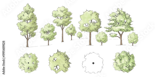 Set of green tree illustrations for architectural landscape design plans and site drawings