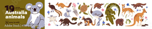 Australian animals set. Native flora and fauna of Australia- kangaroo, koala, wombat, emu, dingo, platypus and eucalyptus. Marsupial species. Flat isolated vector illustrations on white background