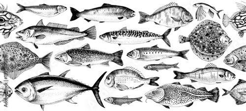 Edible fish sketched vector collection