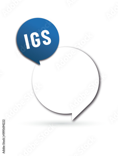 IGS - impot sur les grandes successions - acronyme