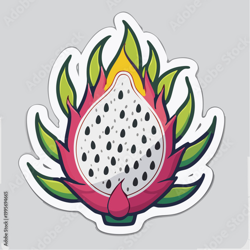 Dragon Fruit Illustration