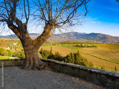 Italia, Toscana, Firenze, Pontassieve, campagna toscana, Nipozzano.