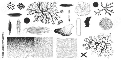 Collection of hand drawn ink textures patterns and biological cell shapes in black and white