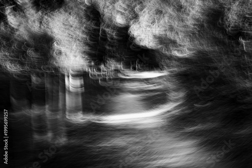 Obraz na płótnie Black and white forest path with intentional camera movement