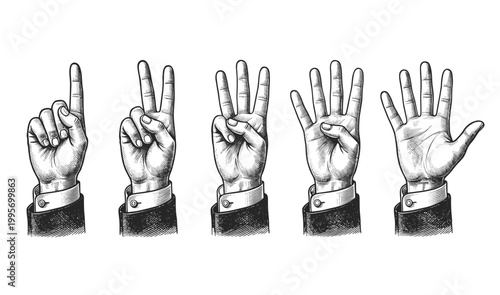 Hand showing different victory and counting gestures in a row. Hand drawn vintage engraved, vector illustration.